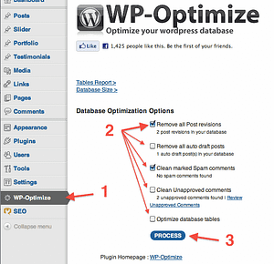WP-Optimize Screen Capture - I should have taken a screen shot before I optimized! WP-Optimize Screen Capture - I should have taken a screen shot before I optimized!