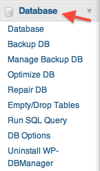 WP-DBmanager